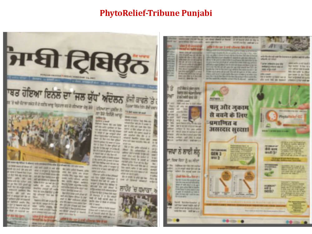 alchemlife-newspaper-4